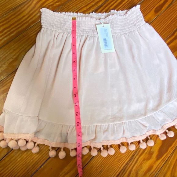 Ramy Brooke NWT Stevie Smocked BLUSH PINK Mini Skirt Size Large, MSRP $175 - Picture 9 of 10